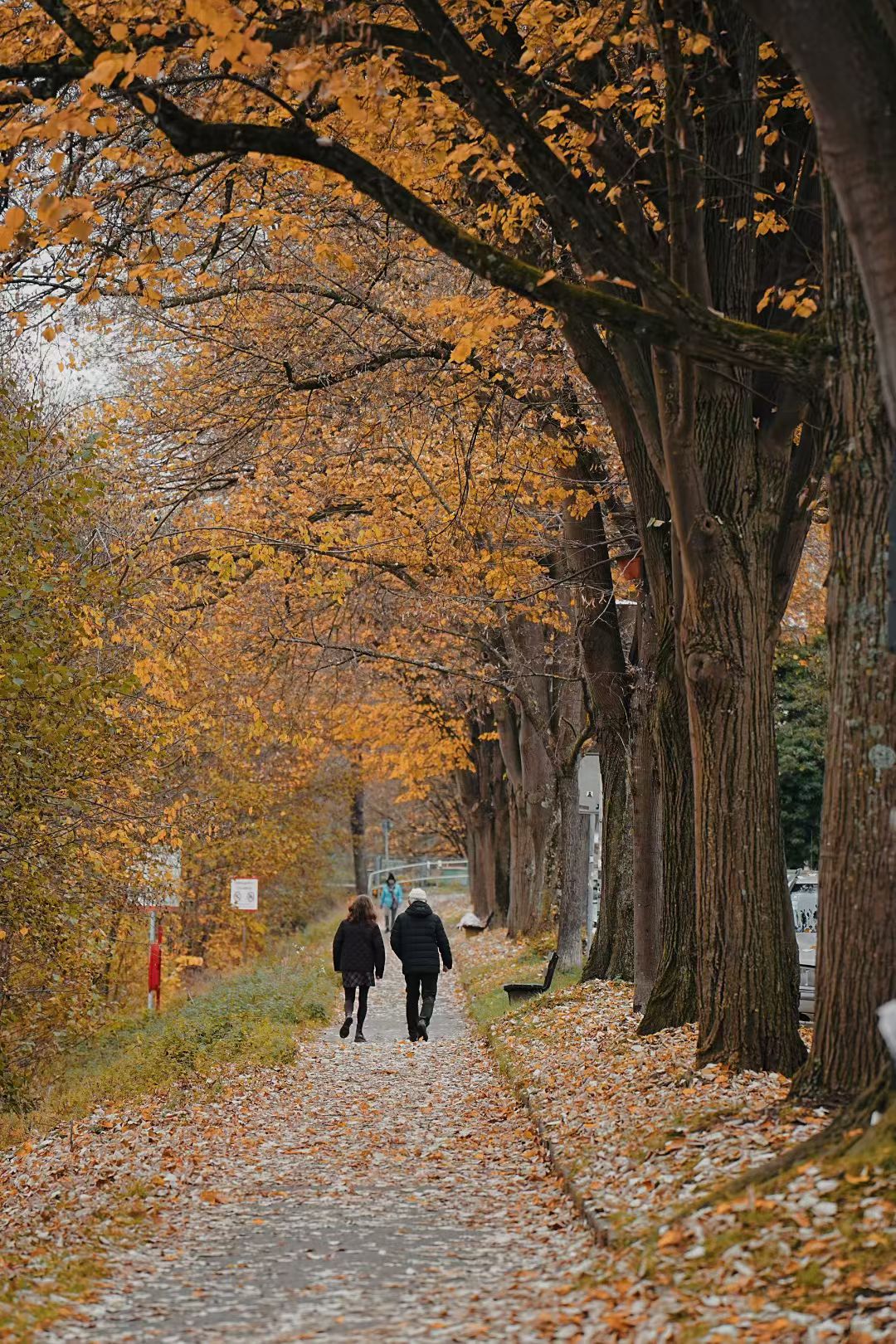 Tübingen, Germany